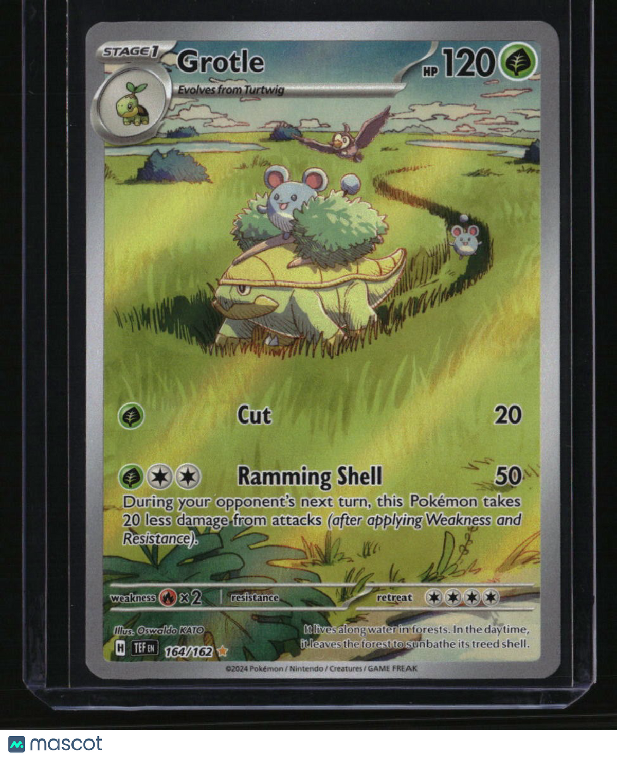 SV05: Temporal Forces Grotle