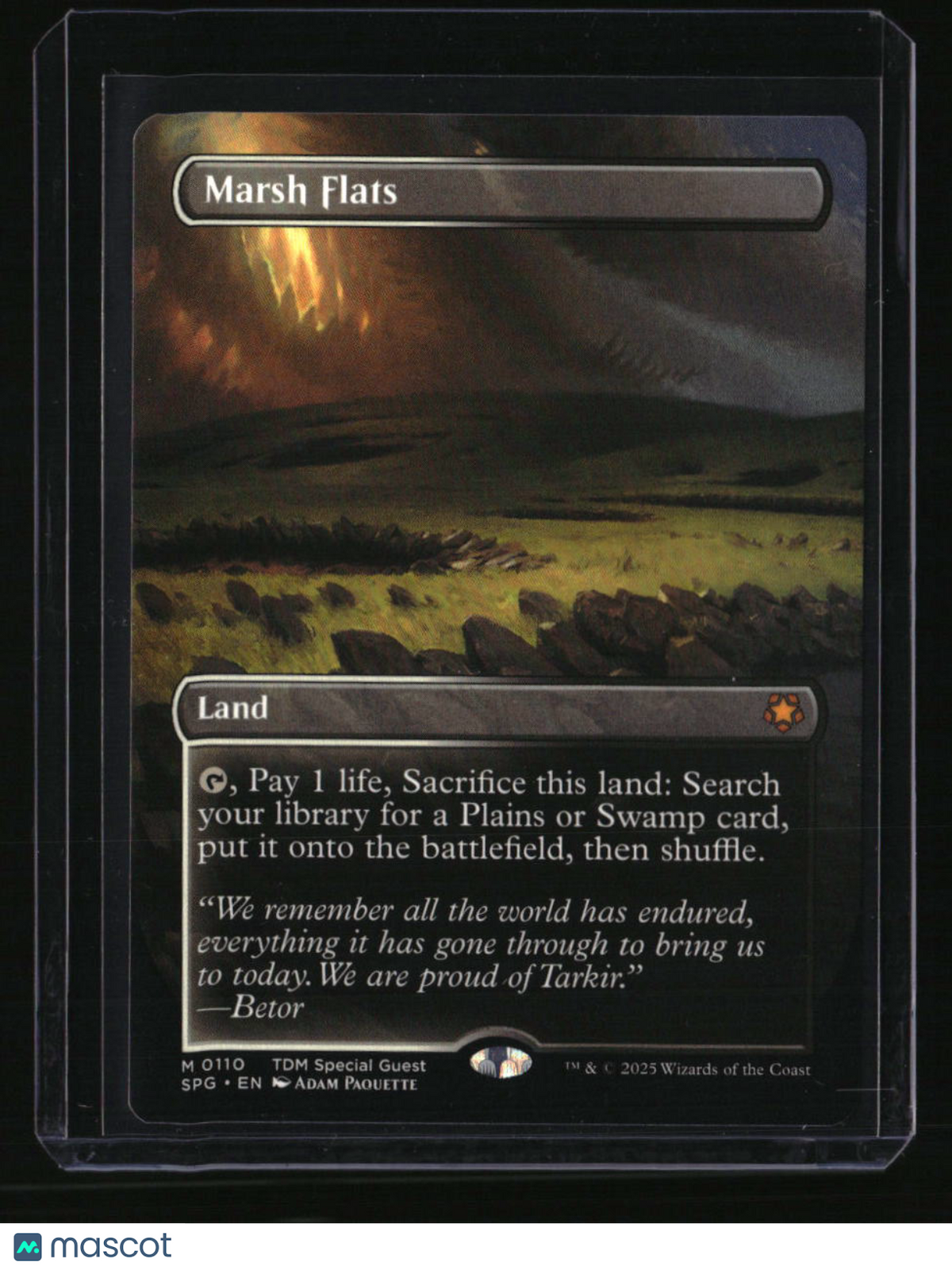 Special Guests Marsh Flats (Borderless)