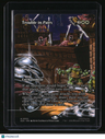 Teenage Mutant Ninja Turtles Source Material Trouble in Pairs (Borderless)