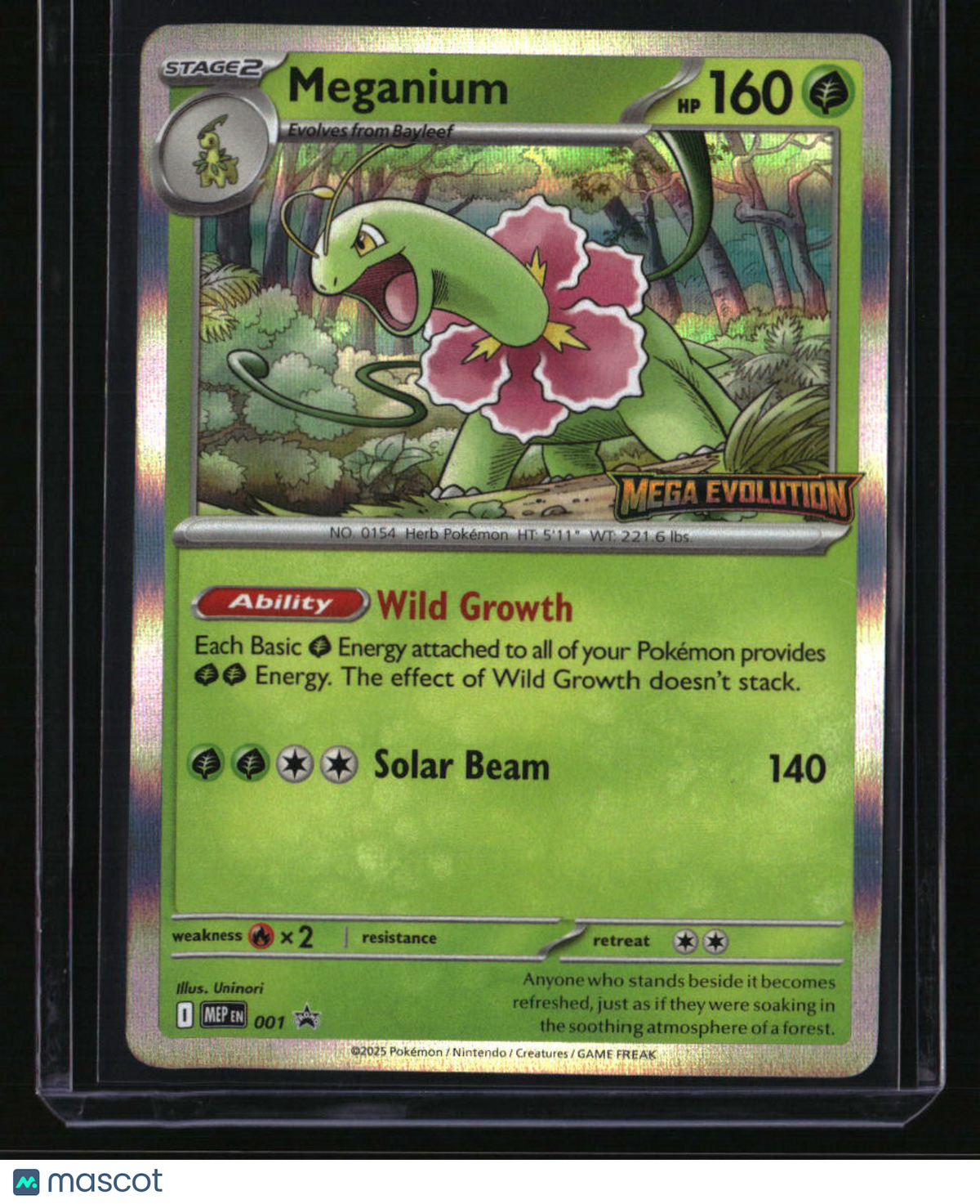 ME: Mega Evolution Promo Meganium