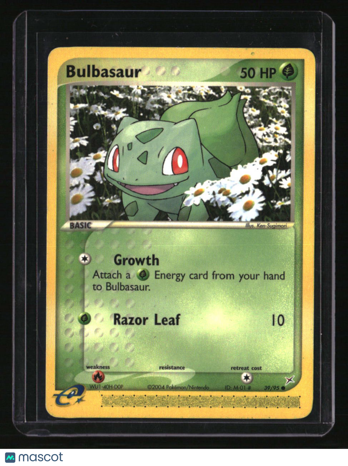 Team Magma vs Team Aqua Bulbasaur