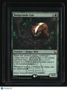Avatar: The Last Airbender Badgermole Cub