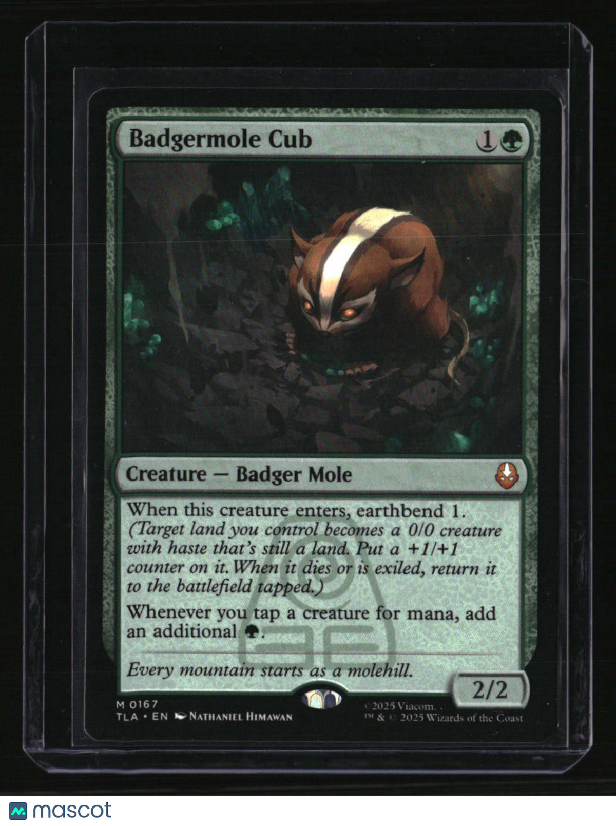 Avatar: The Last Airbender Badgermole Cub