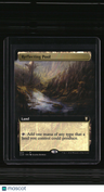 Commander Legends: Battle for Baldur's Gate Reflecting Pool (Extended Art)