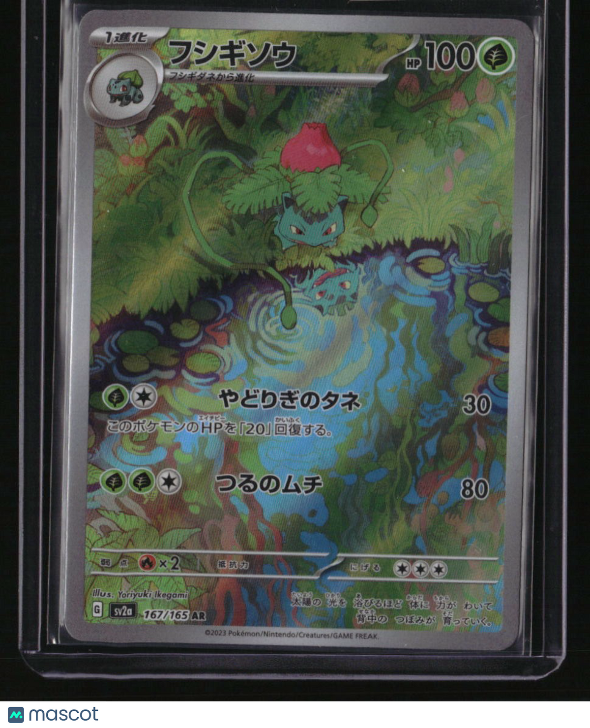 SV2a: Pokemon Card 151 Ivysaur