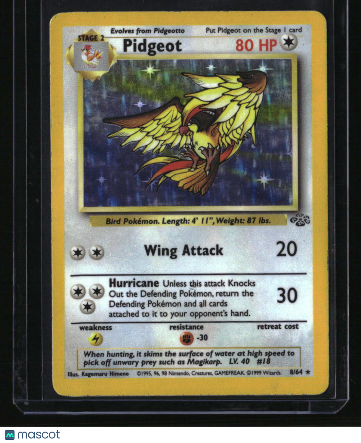 Jungle Pidgeot (8)