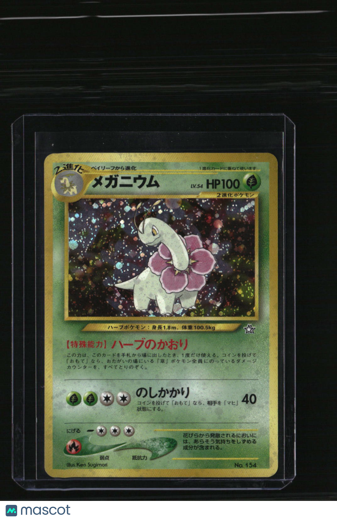 Neo Premium File 1 Meganium