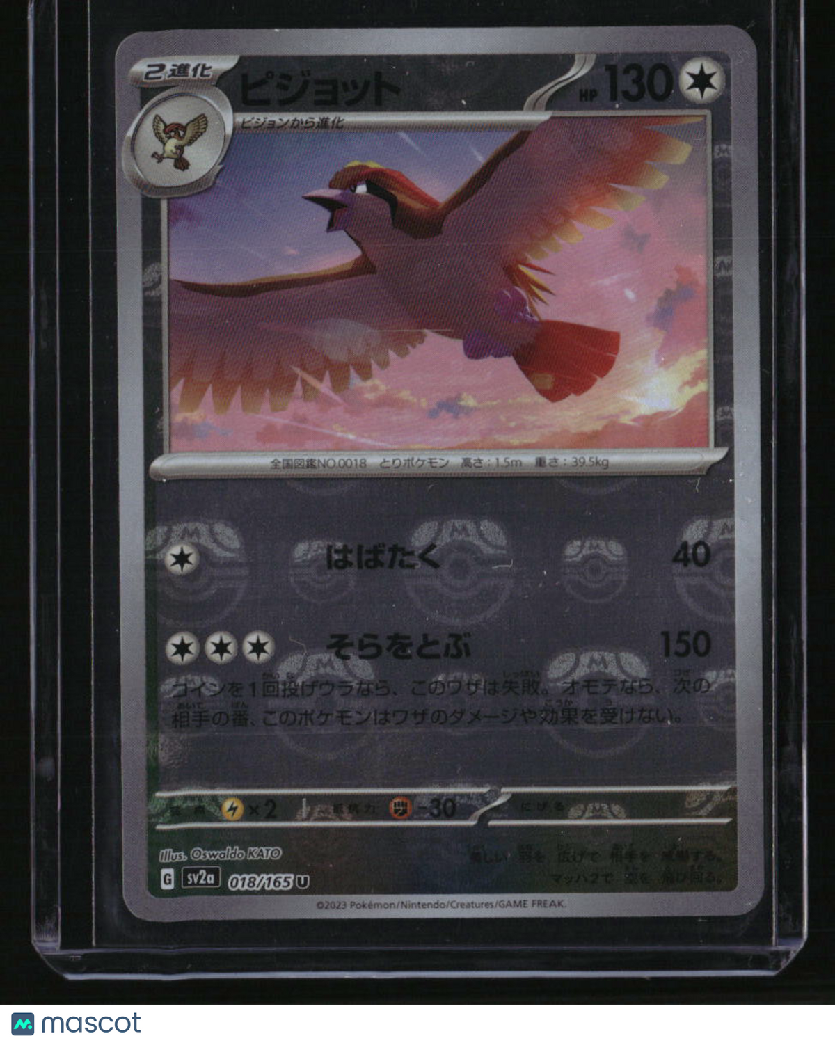 sv2a: 151 Japanese Pidgeot (Master Ball Reverse Holo)