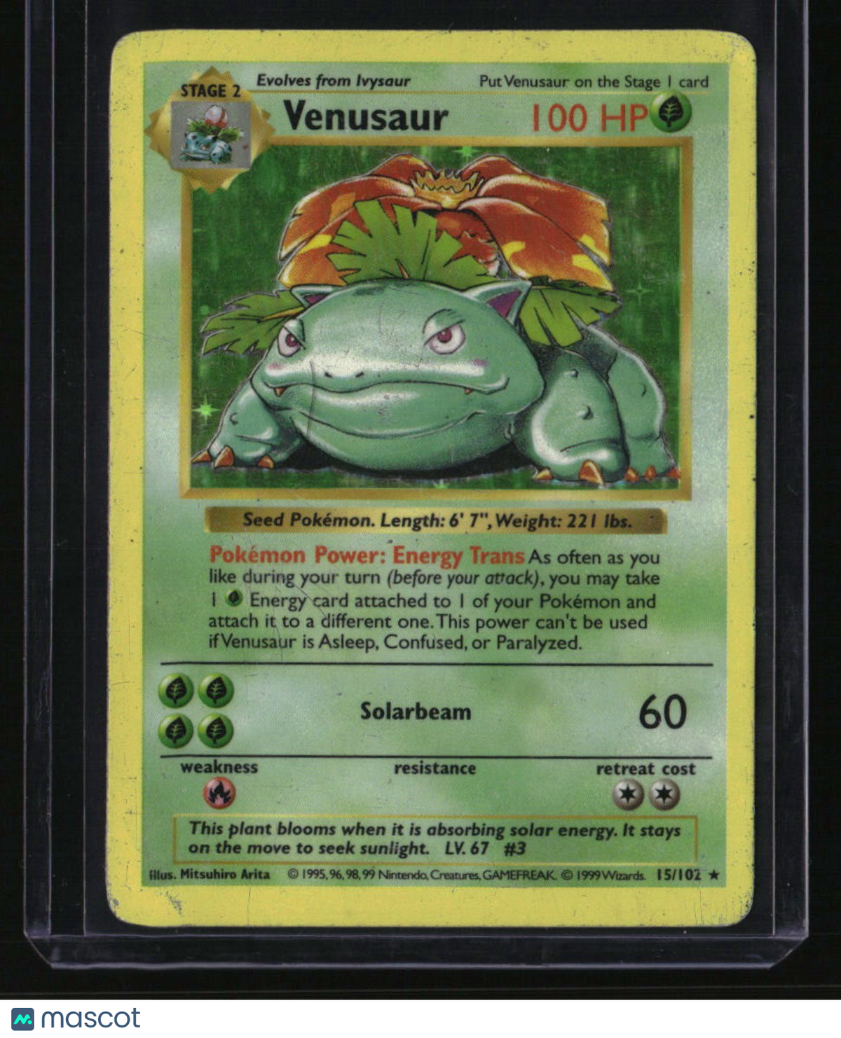 Base Set (Shadowless) Venusaur