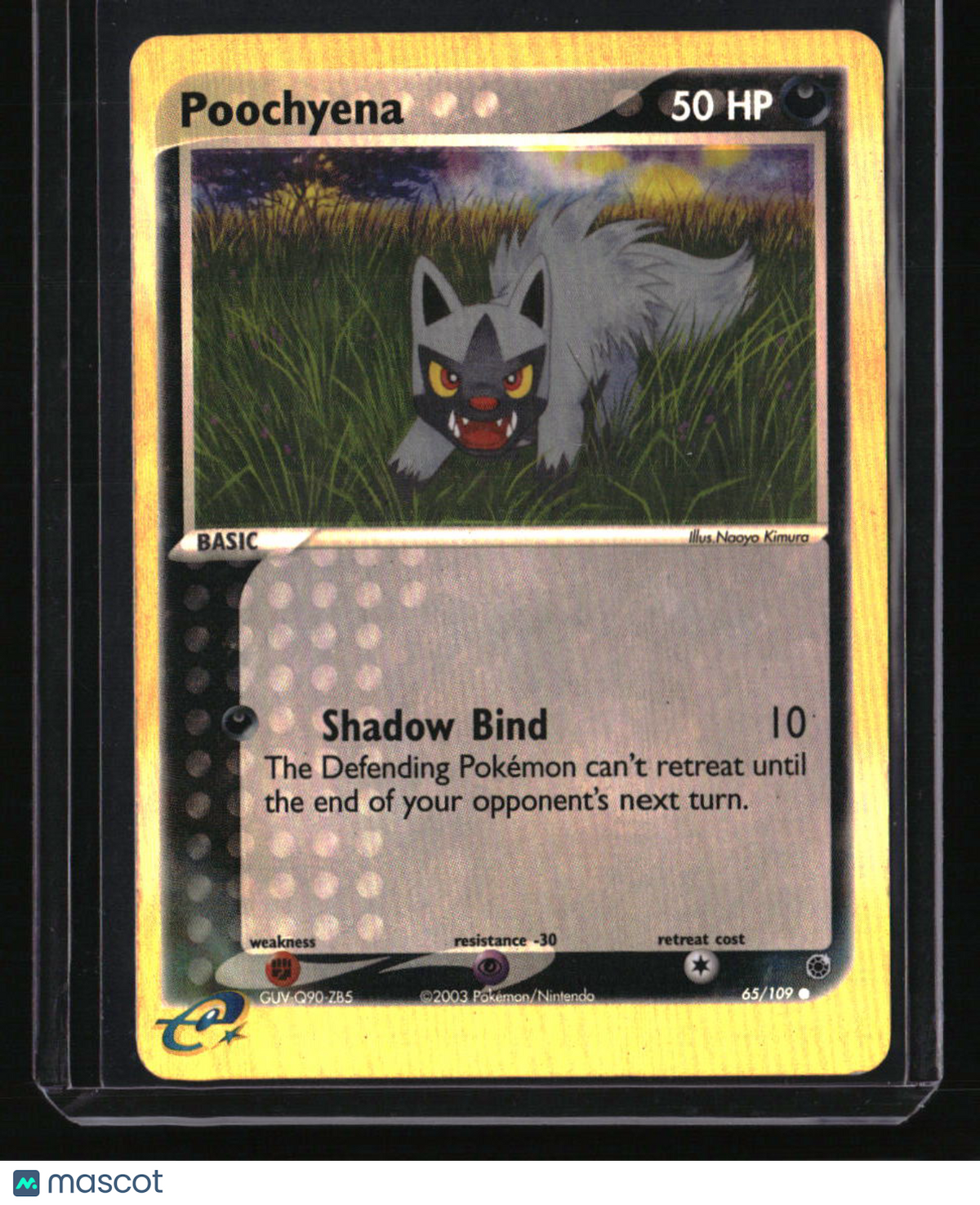 Ruby and Sapphire Poochyena Reverse Holo