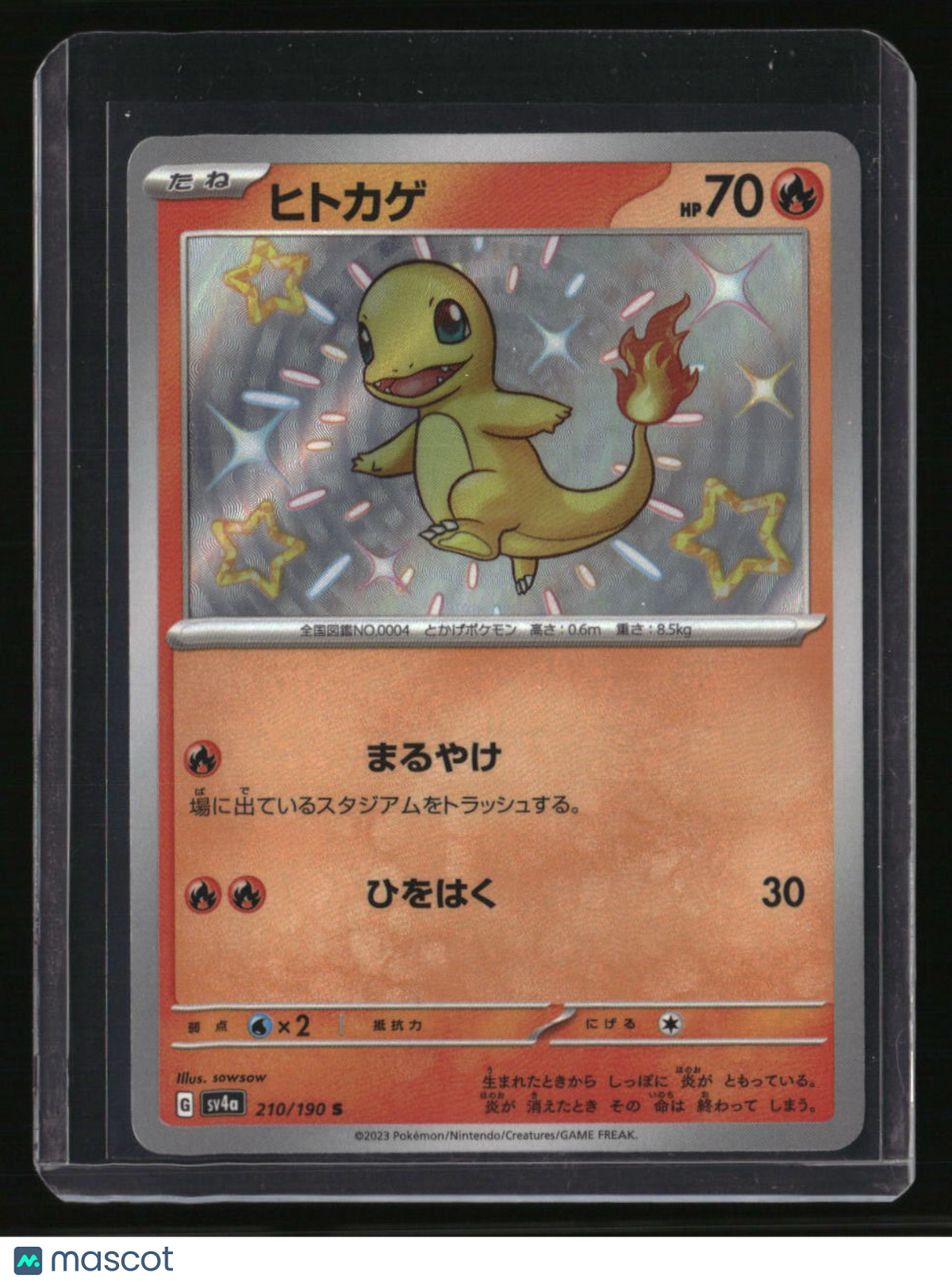 SV4a: Shiny Treasure ex Charmander