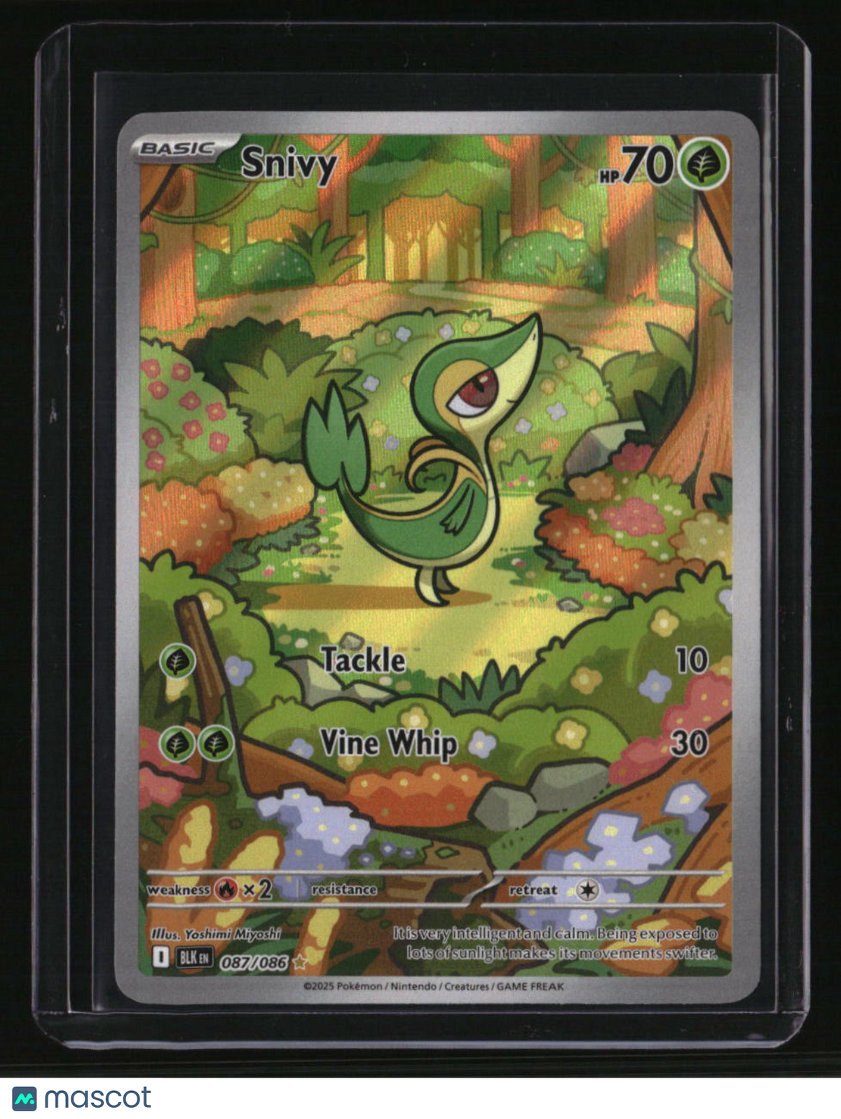 SV: Black Bolt Snivy