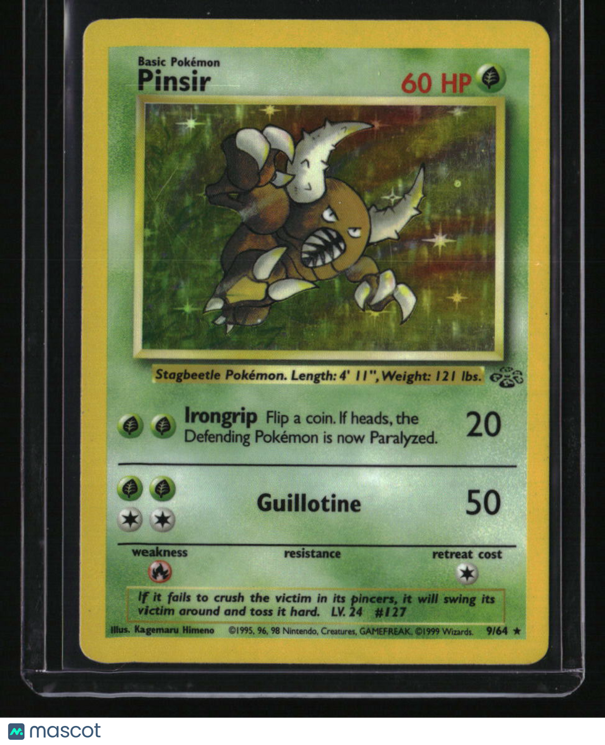 Jungle Pinsir (9)