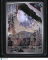 SV05: Temporal Forces Snom
