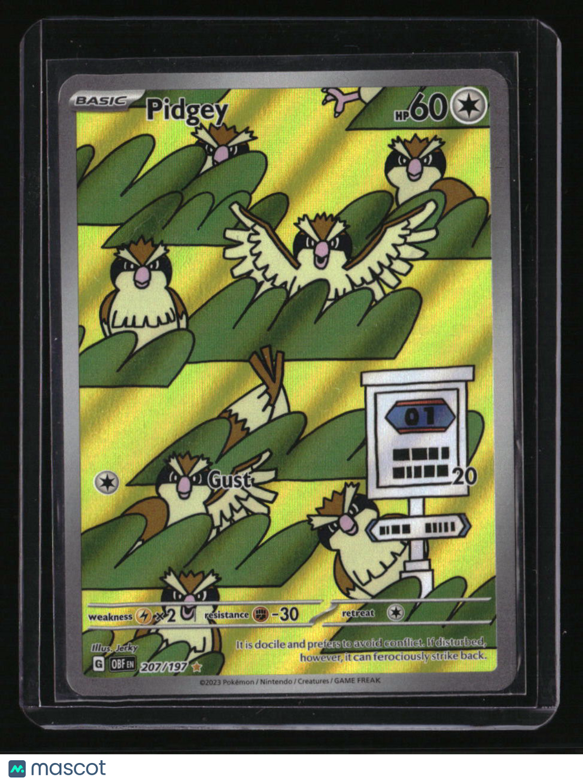 SV03: Obsidian Flames Pidgey