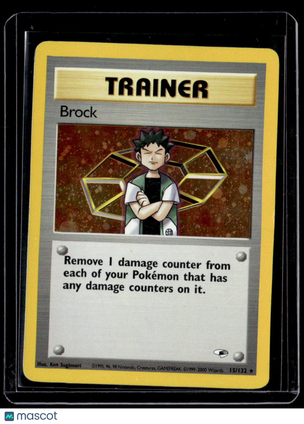 Gym Heroes Brock (15)