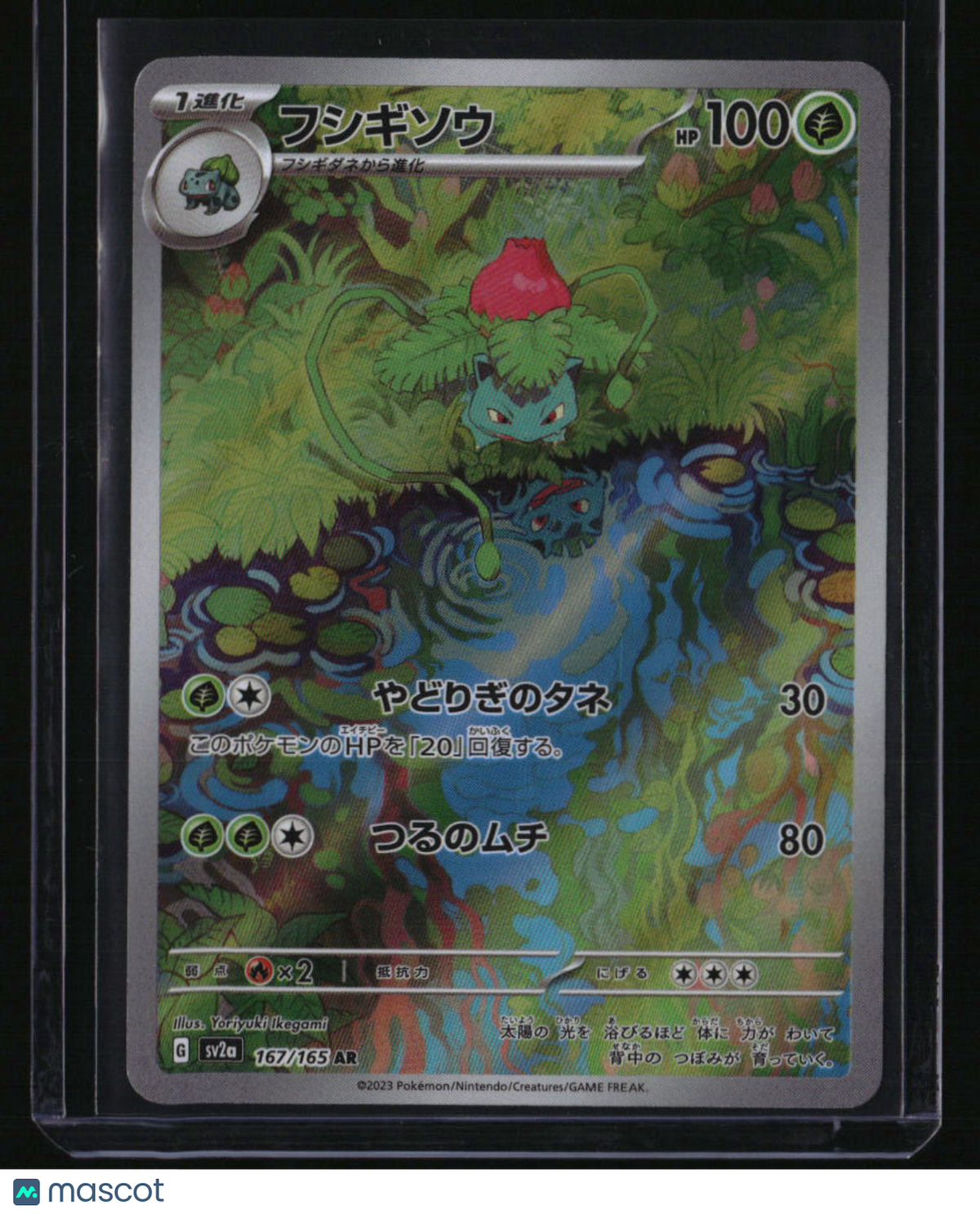 SV2a: Pokemon Card 151 Ivysaur