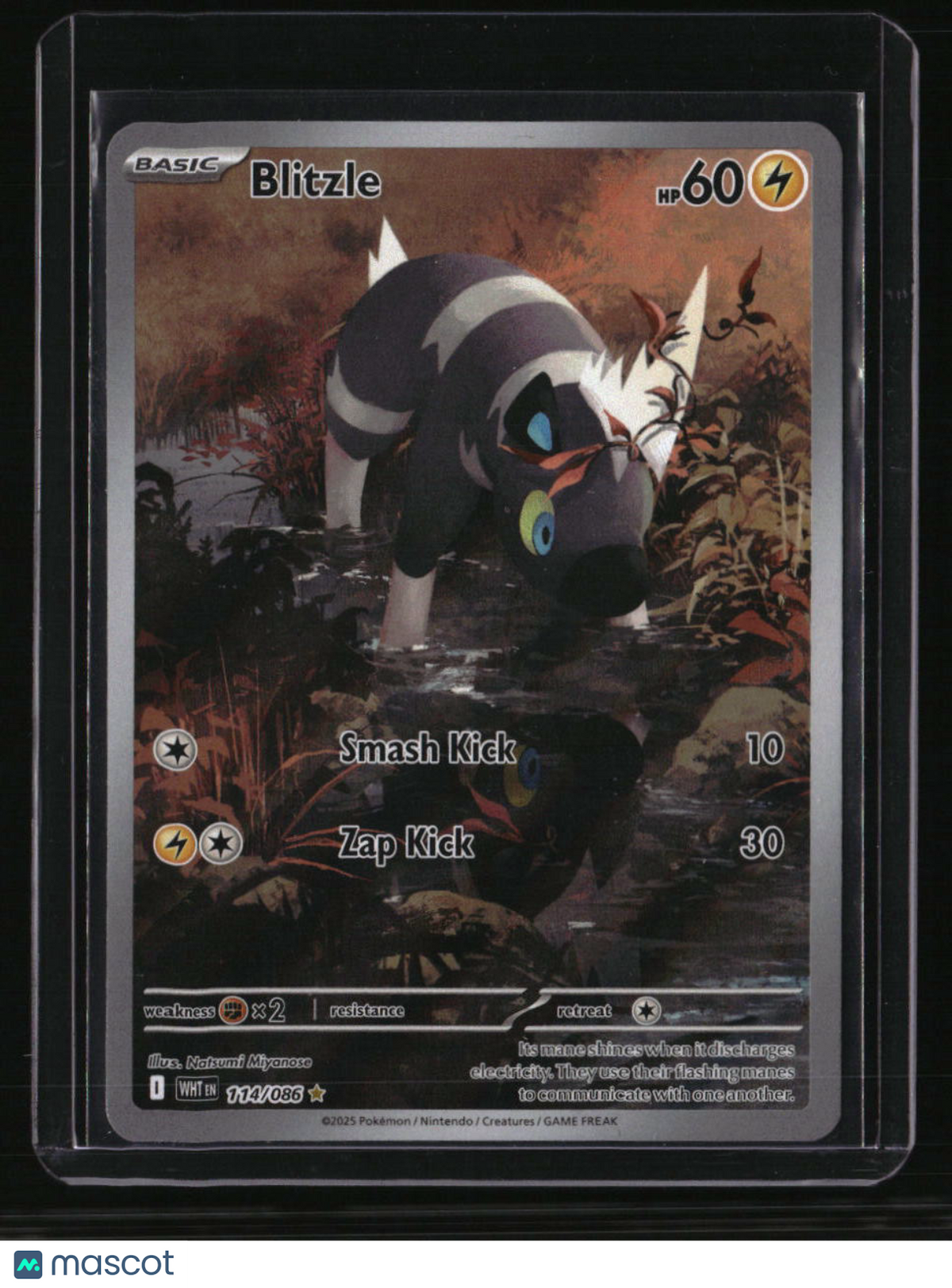 SV: White Flare Blitzle