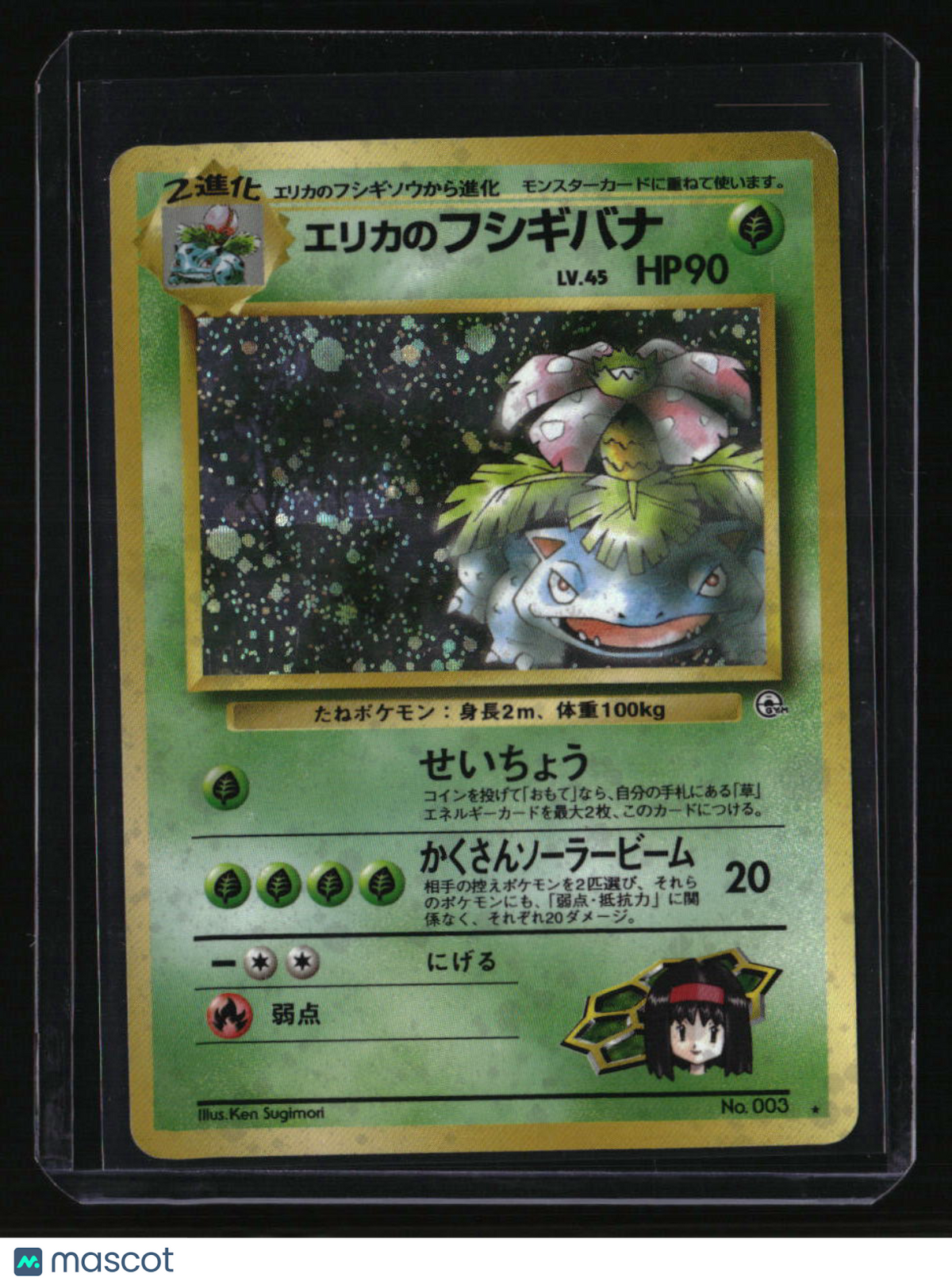 Challenge from the Darkness Erika's Venusaur