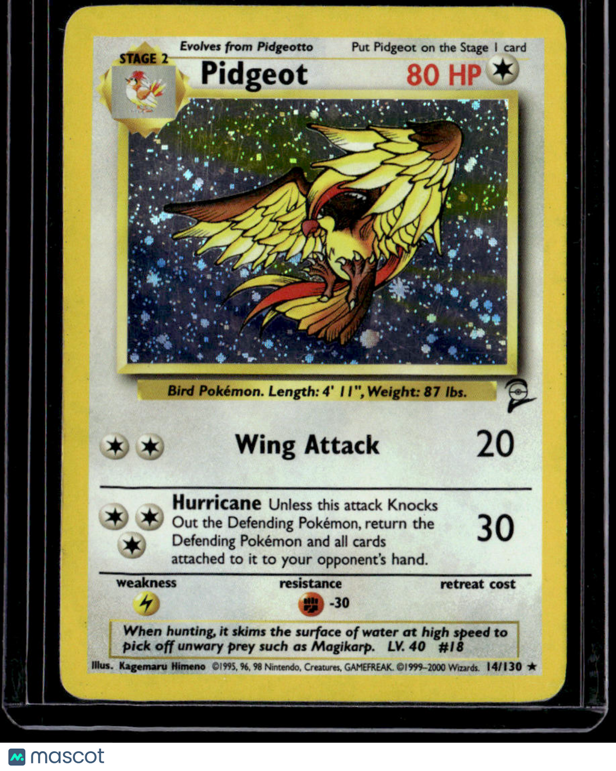 Base Set 2 Pidgeot