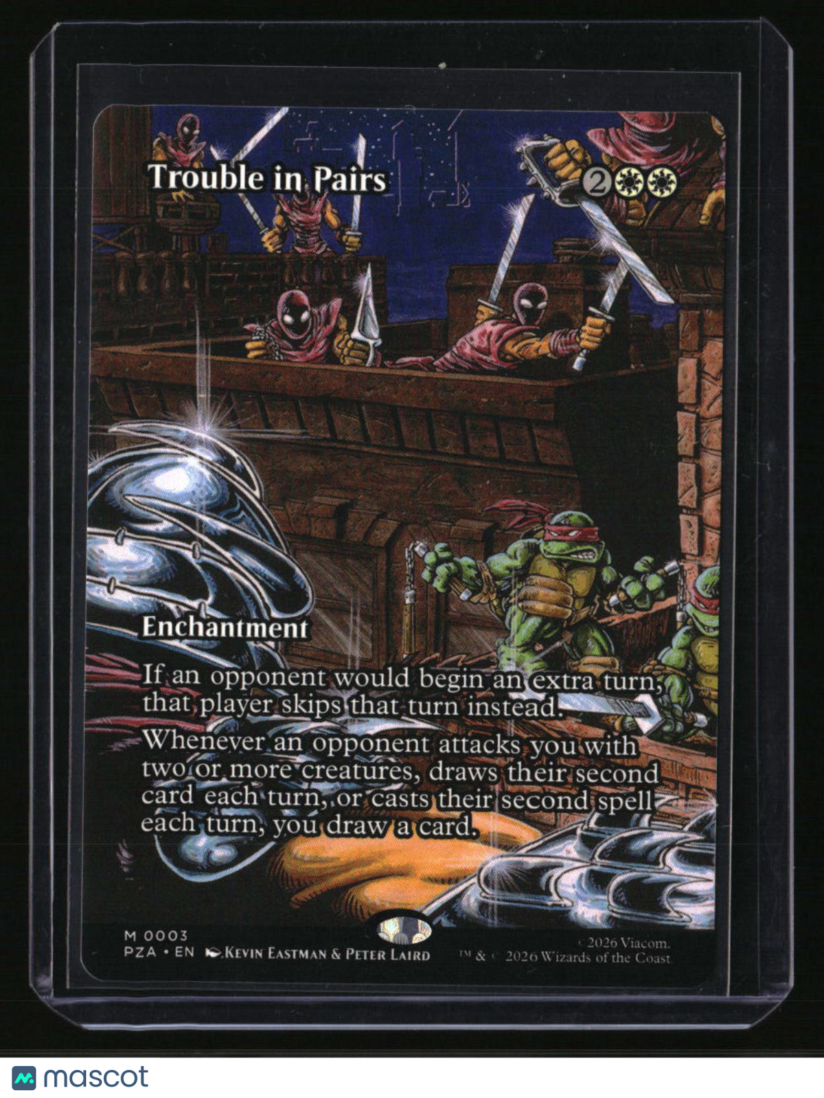 Teenage Mutant Ninja Turtles Source Material Trouble in Pairs (Borderless)