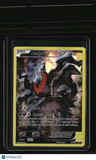 XY Promos Darkrai