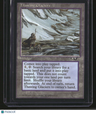 Alliances Thawing Glaciers