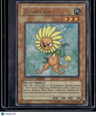 Shonen Jump Magazine Promos Dandylion