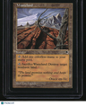 Tempest Wasteland