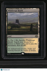 Modern Horizons 3 Windswept Heath