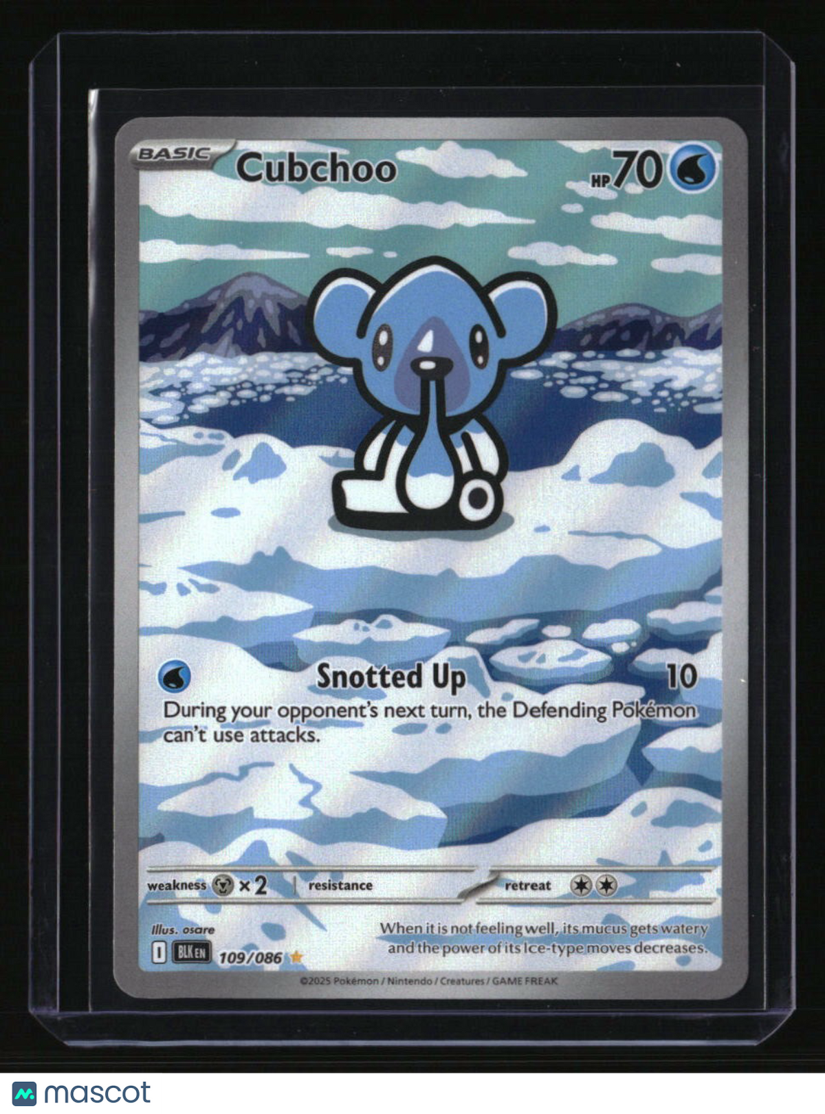 SV: Black Bolt Cubchoo