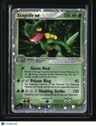 EX Team Magma vs Team Aqua Sceptile ex