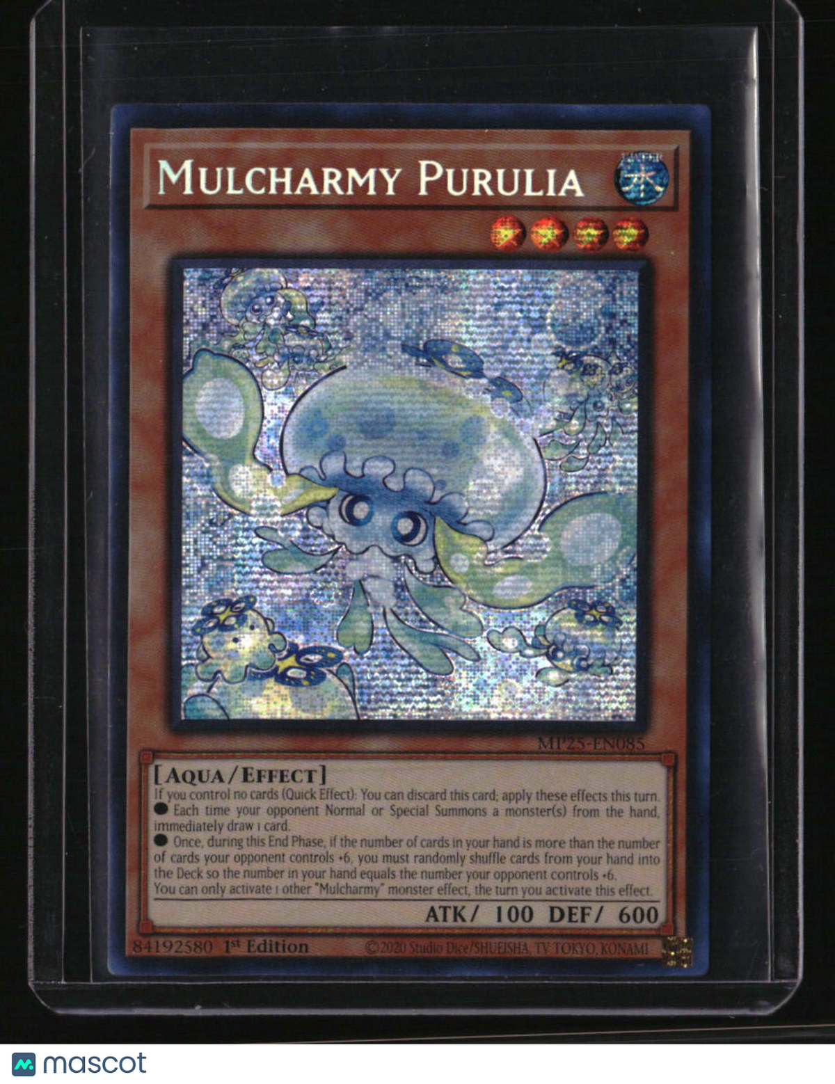 2025 Mega-Pack Mulcharmy Purulia