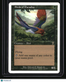 7th Edition Birds of Paradise