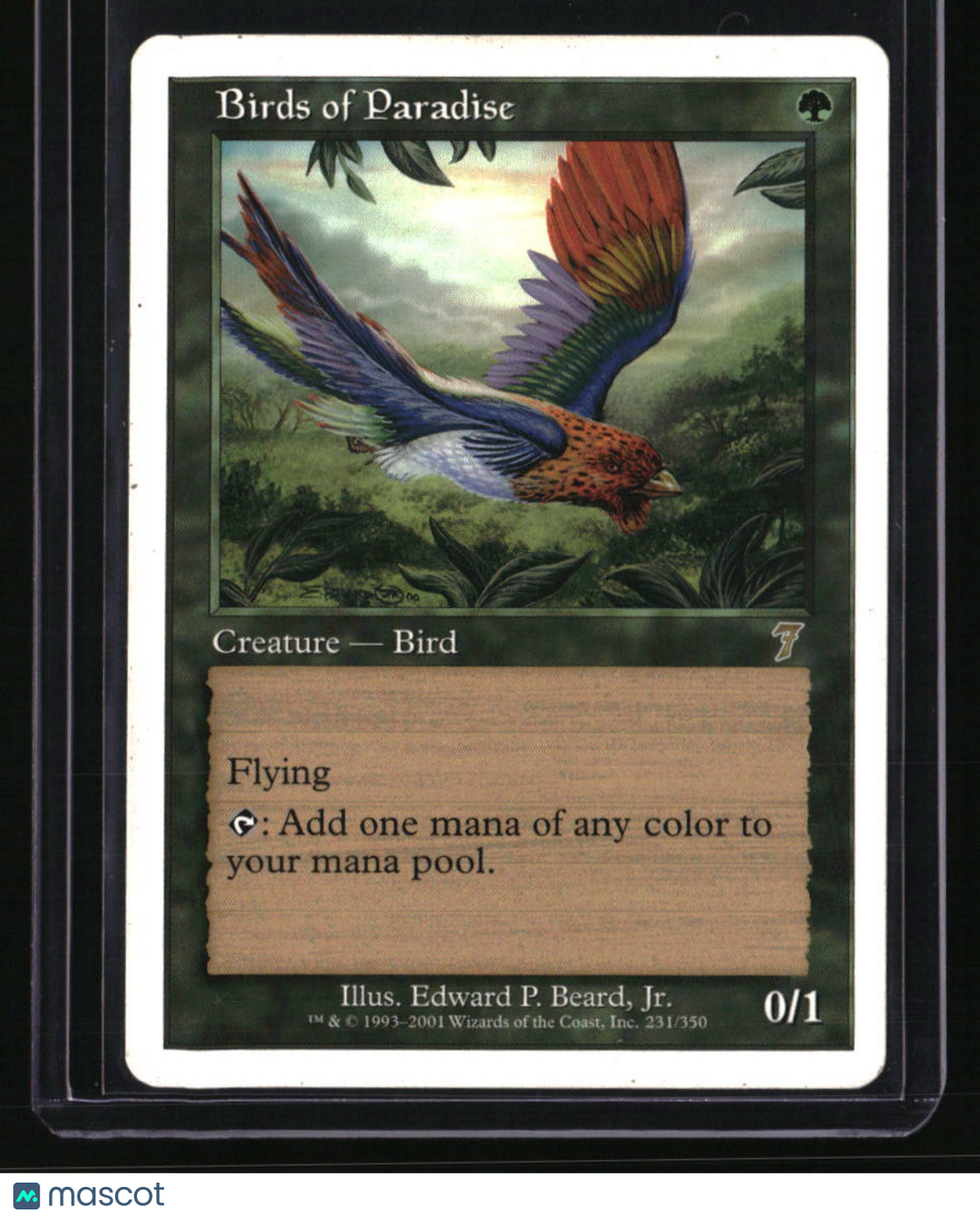7th Edition Birds of Paradise