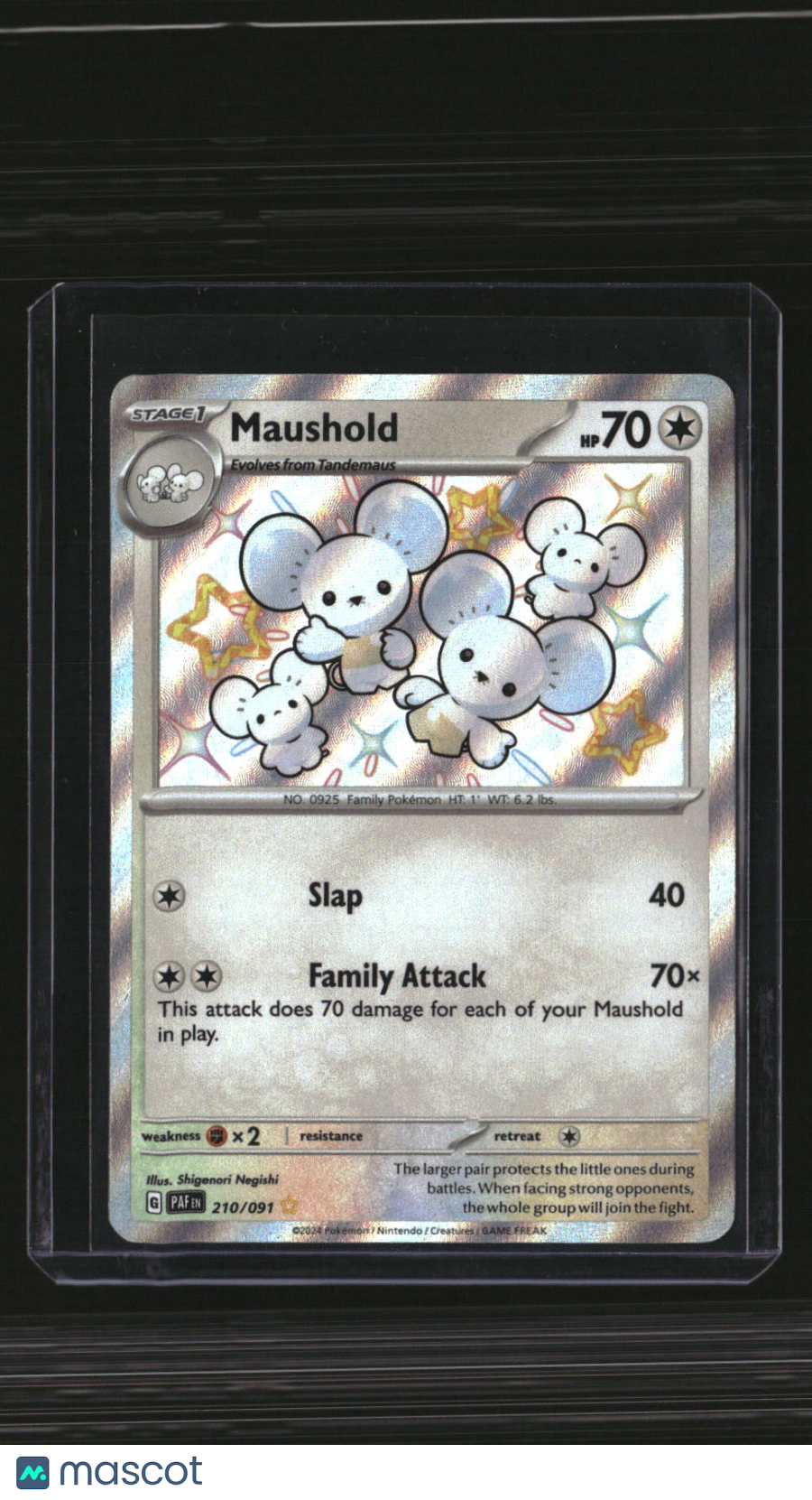 SV: Paldean Fates Maushold