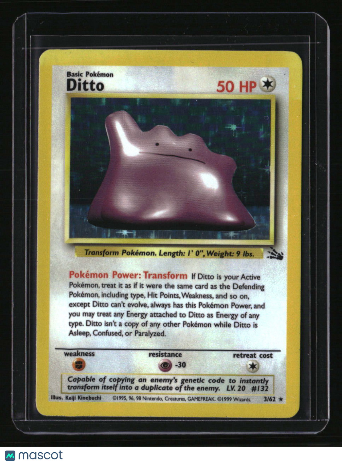 Fossil Ditto (3)