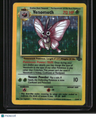 Jungle Venomoth (13)
