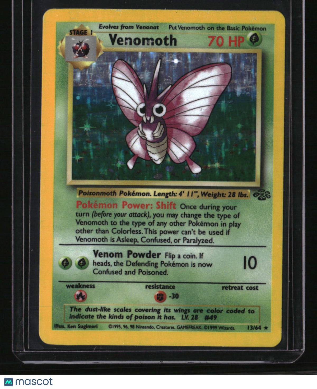 Jungle Venomoth (13)