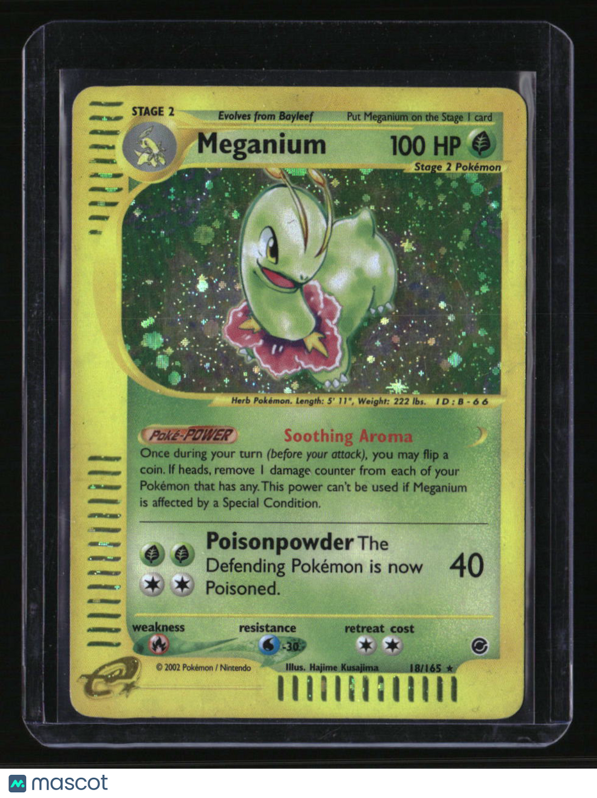 Expedition Meganium (18)