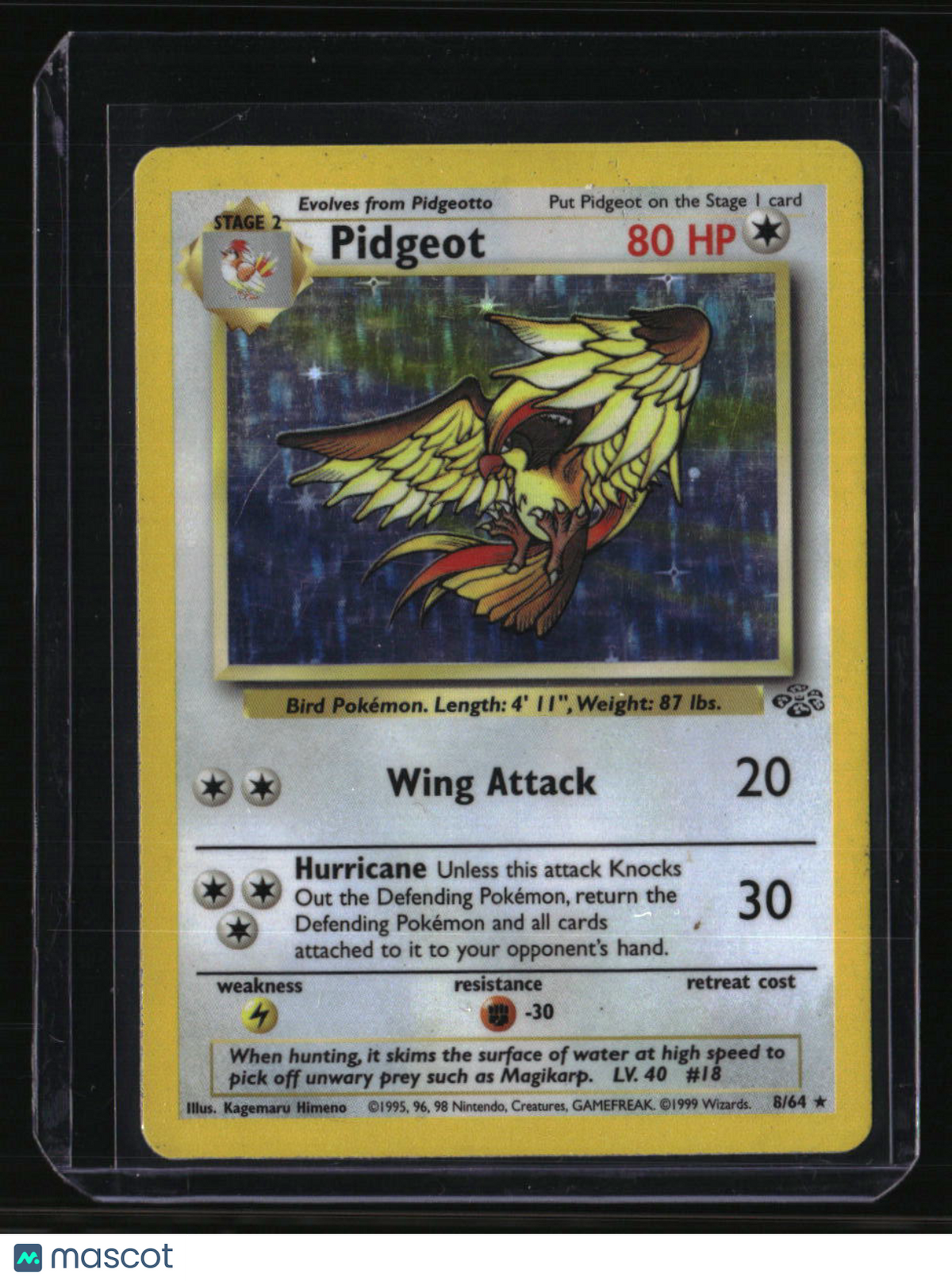 Jungle Pidgeot (8)