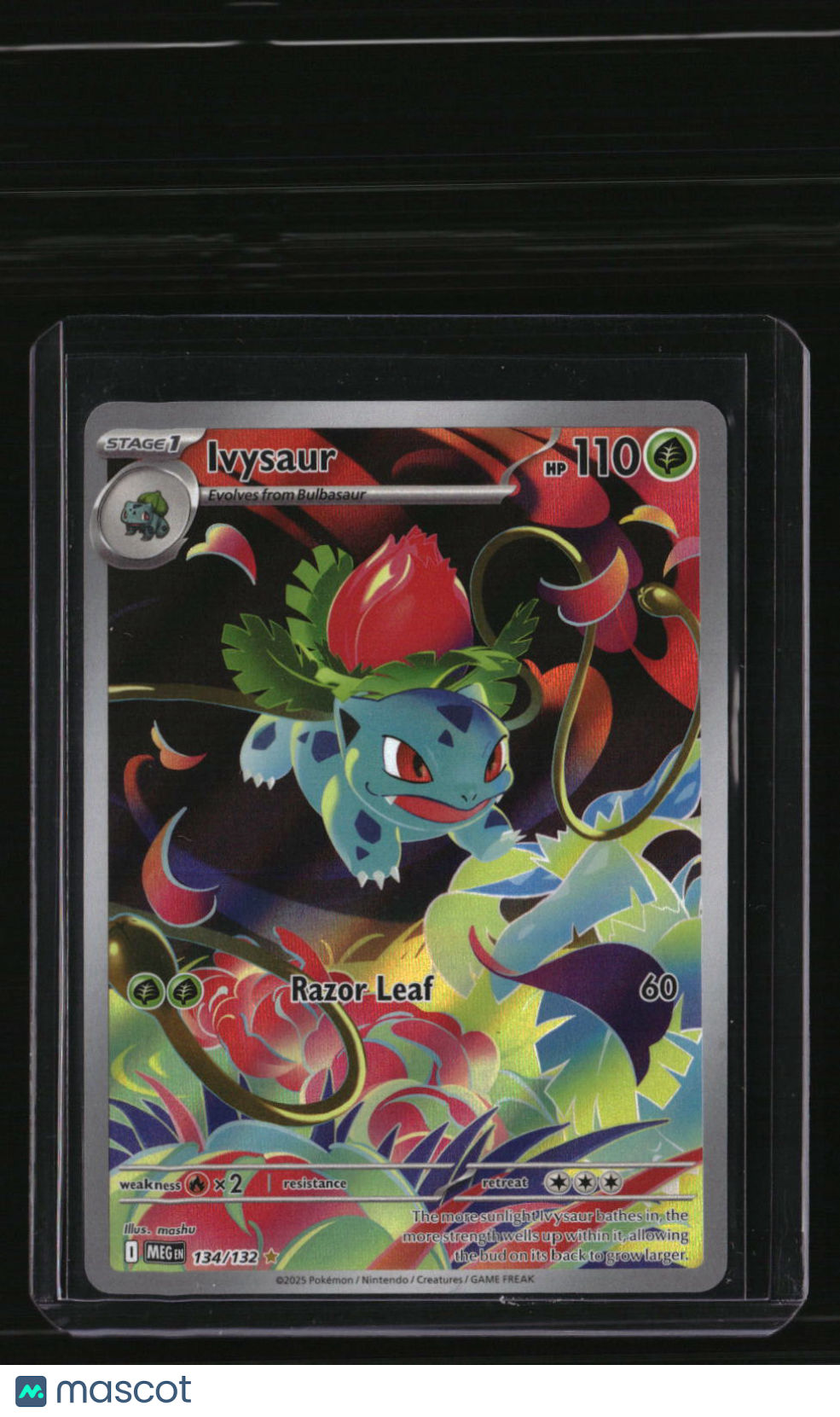 ME01: Mega Evolution Ivysaur
