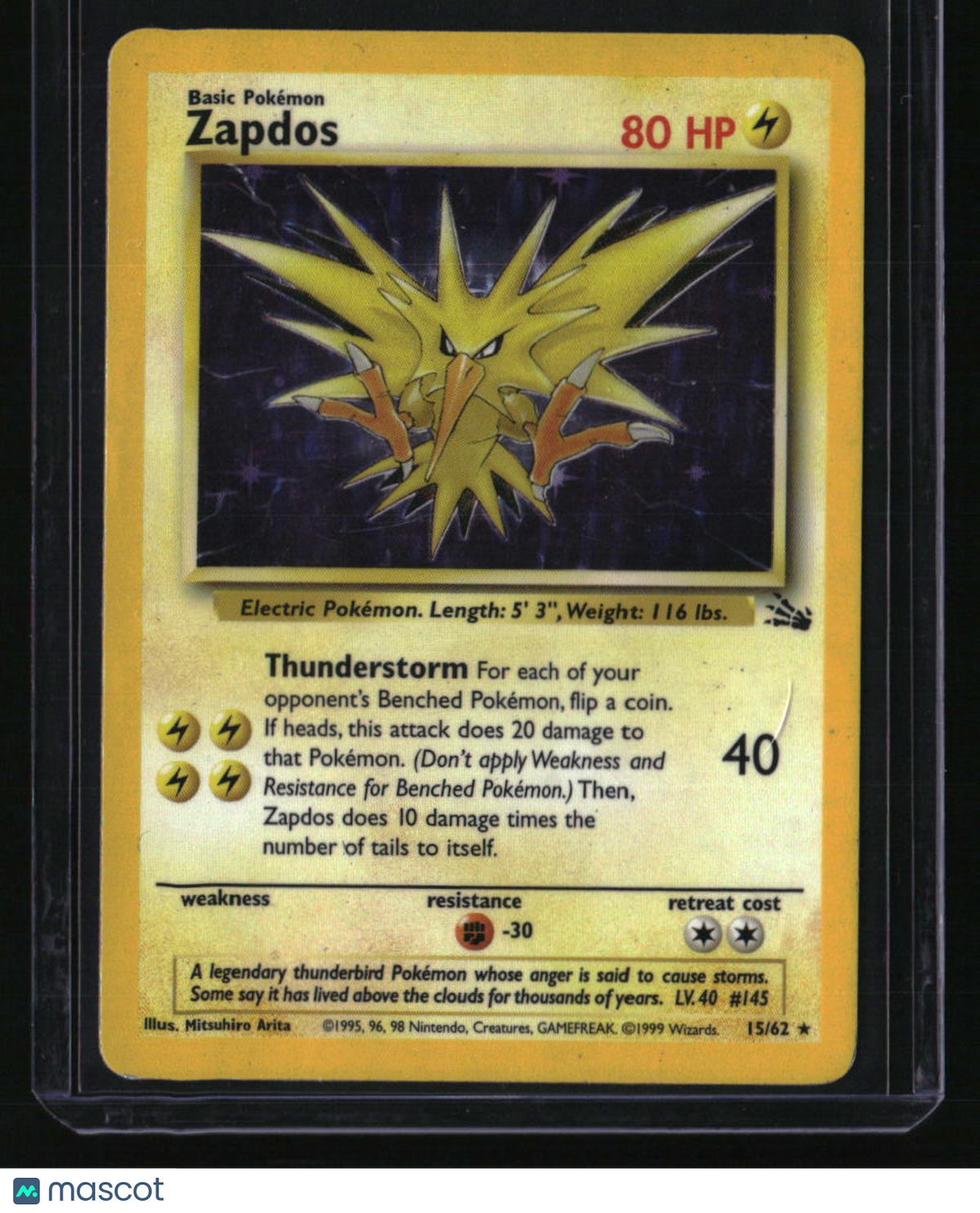 Fossil Zapdos (15)