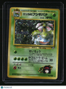 Challenge from the Darkness Erika's Venusaur