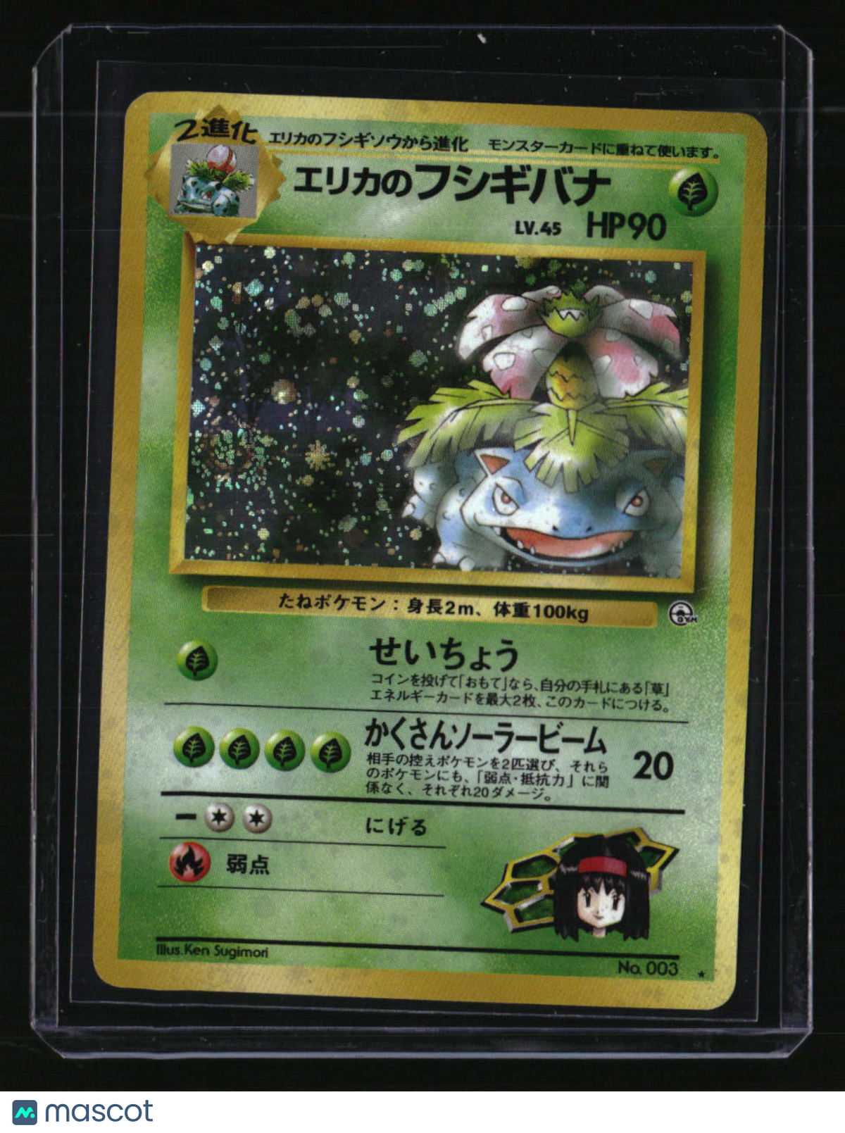 Challenge from the Darkness Erika's Venusaur