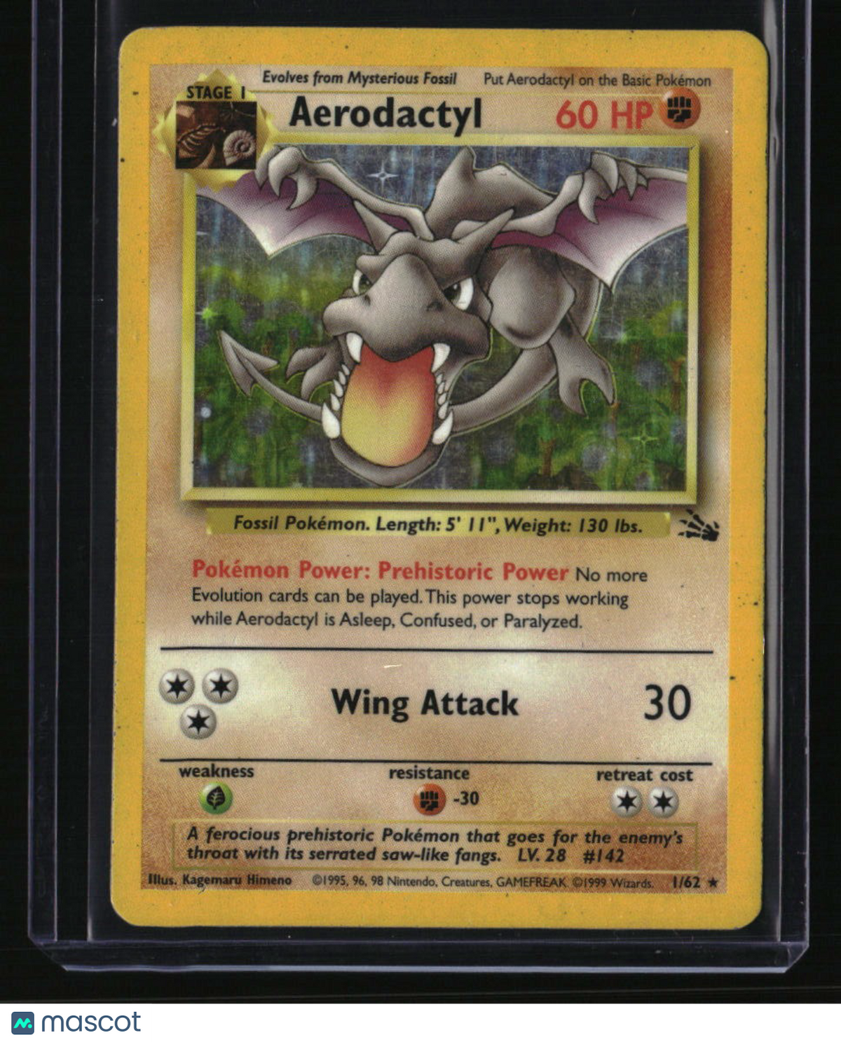 Fossil Aerodactyl (1)