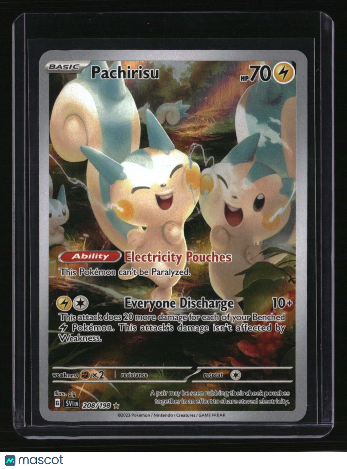 SV01: Scarlet & Violet Base Set Pachirisu