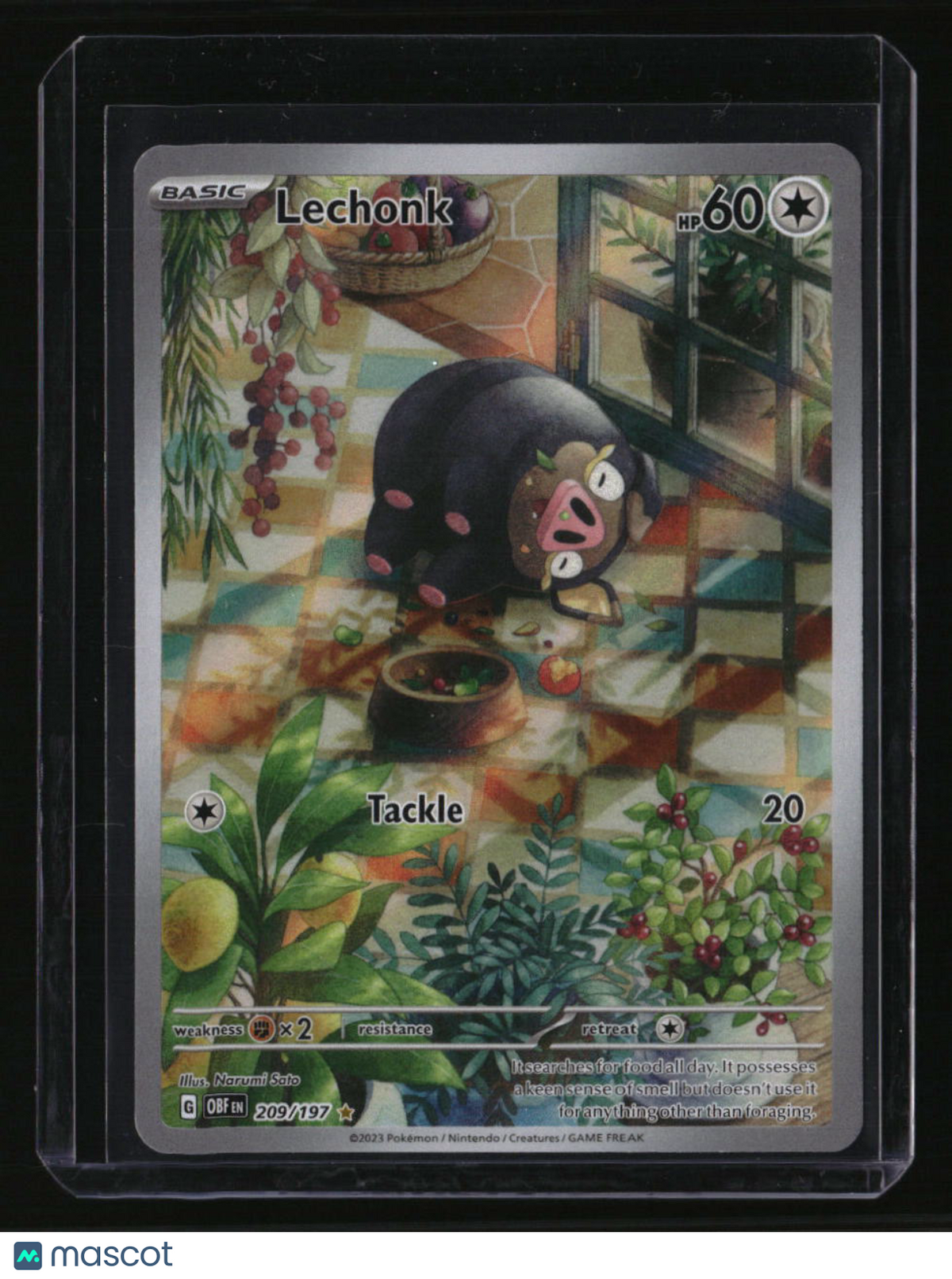 SV03: Obsidian Flames Lechonk