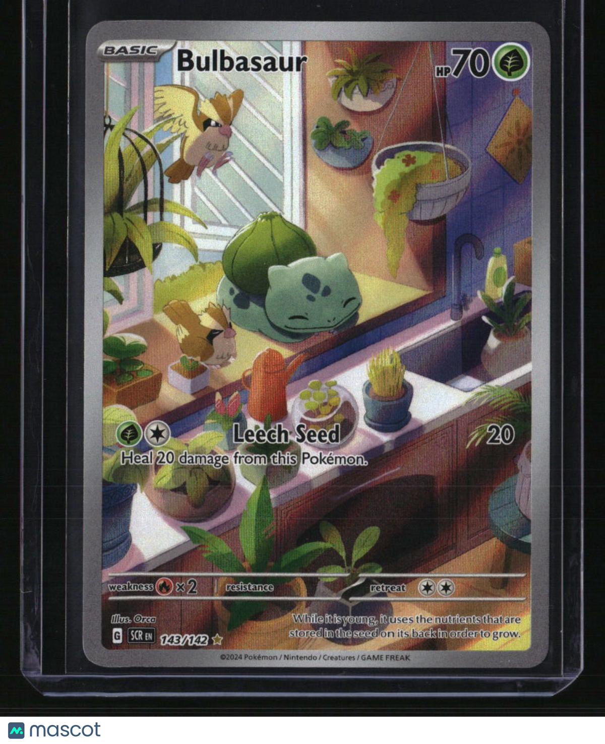 SV07: Stellar Crown Bulbasaur