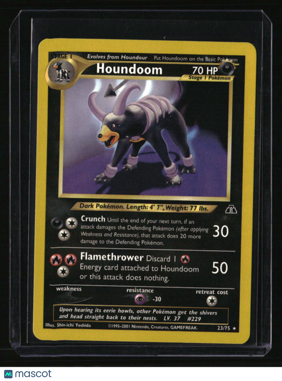 Neo Discovery Houndoom (23)